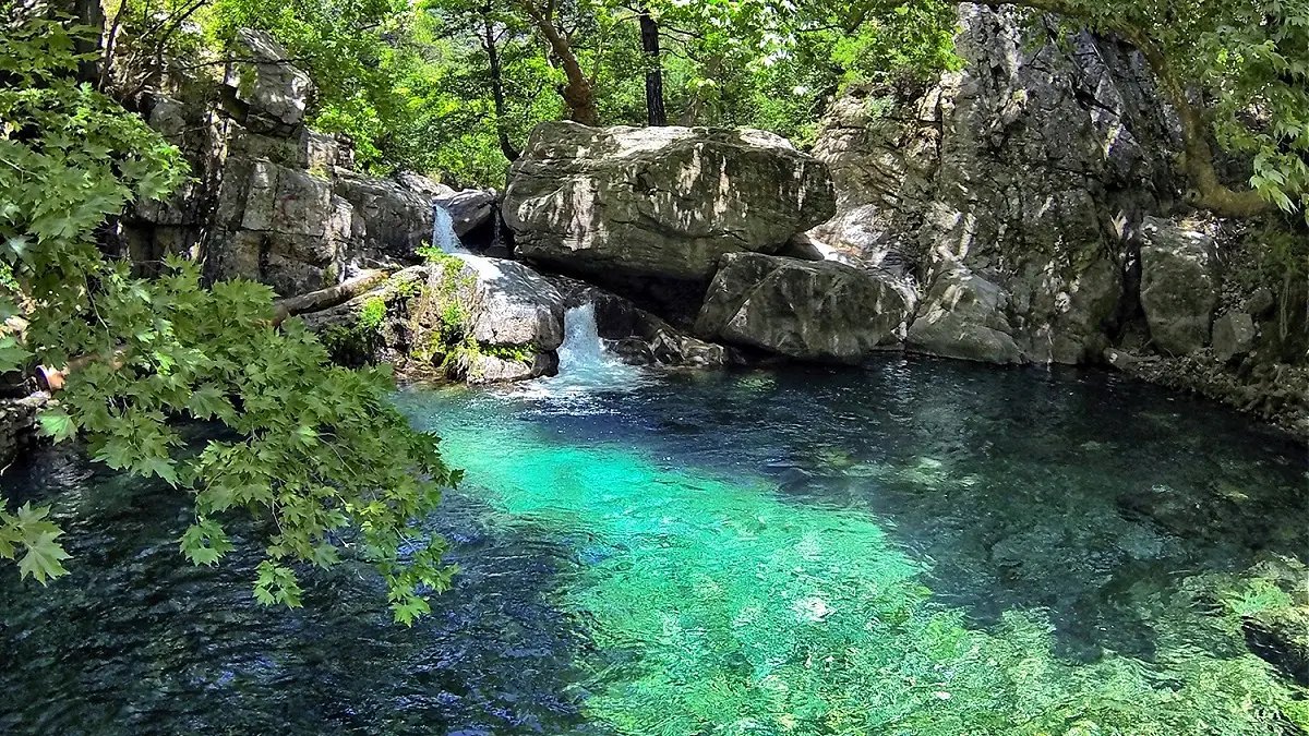Fotoğraf 1
